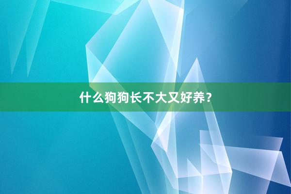 什么狗狗长不大又好养？